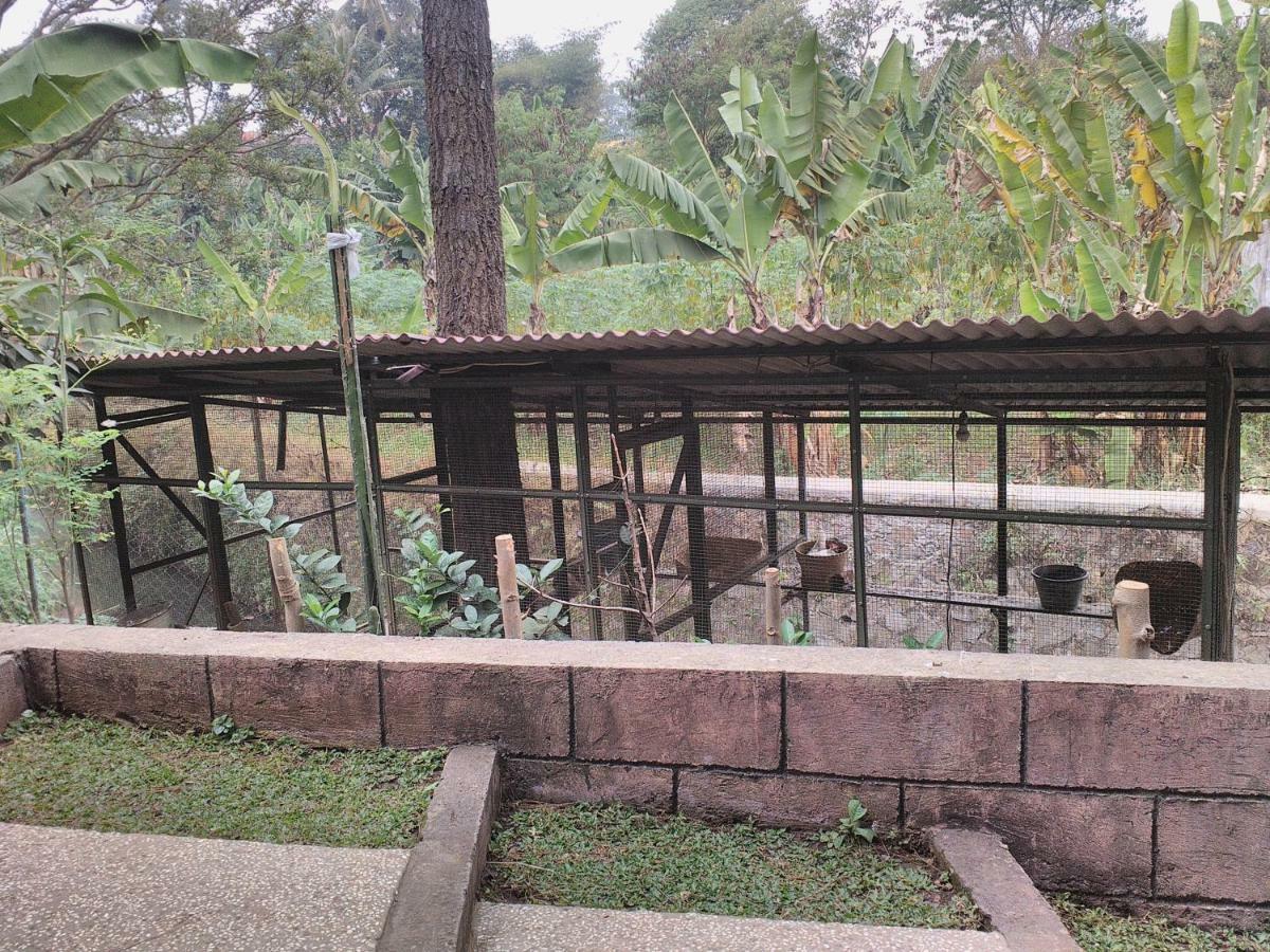 Nabila Syar'I Guest House Padalarang Bagian luar foto